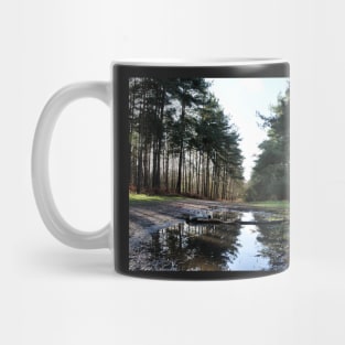 Reflection in Swinley Forest Mug